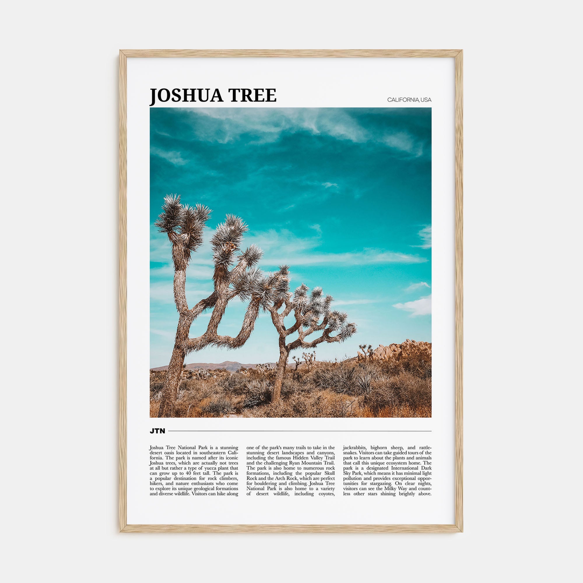 Joshua Tree National Park Travel Color Poster