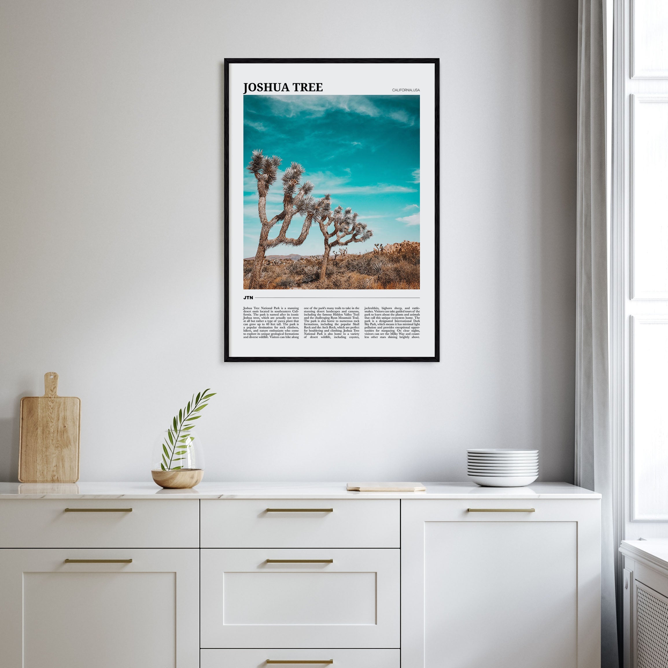 Joshua Tree National Park Travel Color Poster
