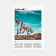Joshua Tree National Park Travel Color Poster