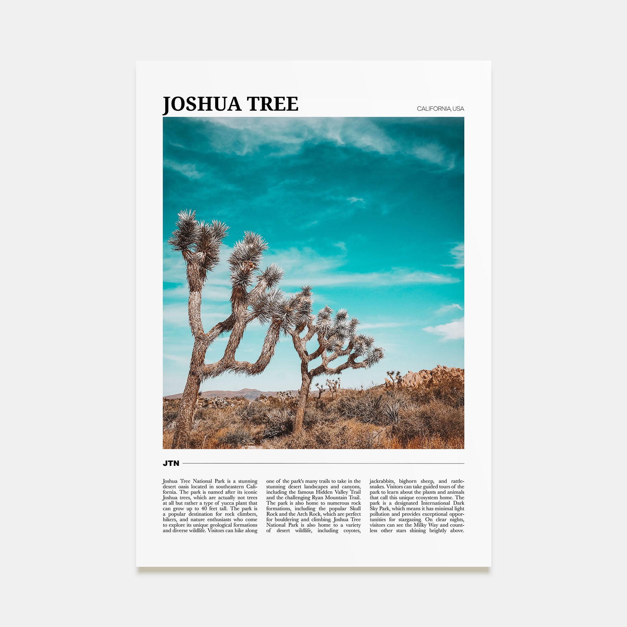 Joshua Tree National Park Travel Color Poster