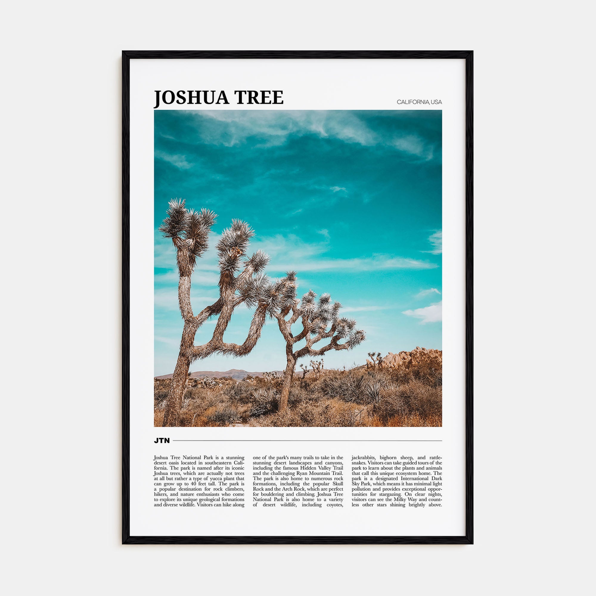 Joshua Tree National Park Travel Color Poster