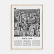 Juiz de Fora Travel B&W Poster