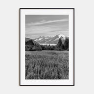 Juneau Photo B&W Poster