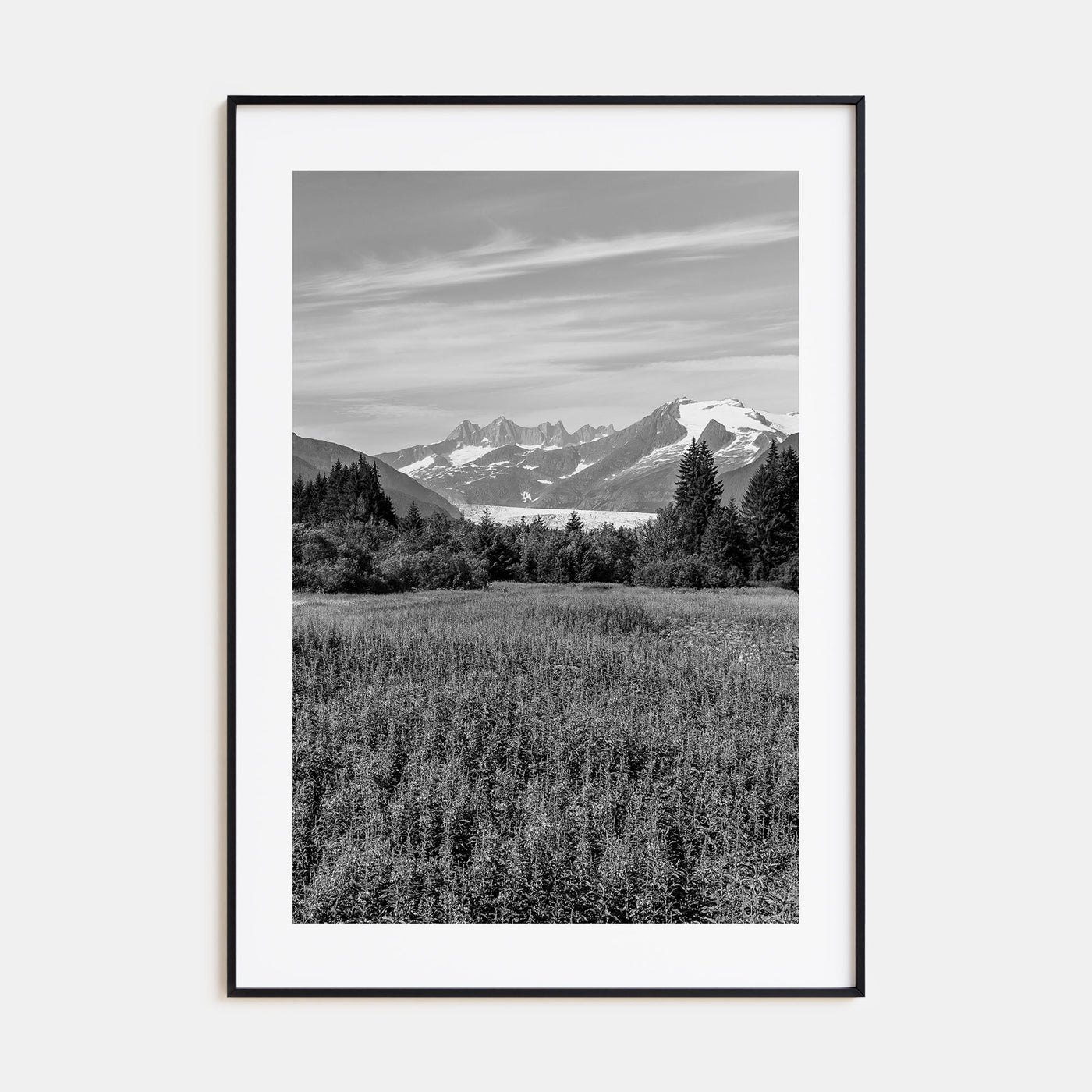Juneau Photo B&W Poster