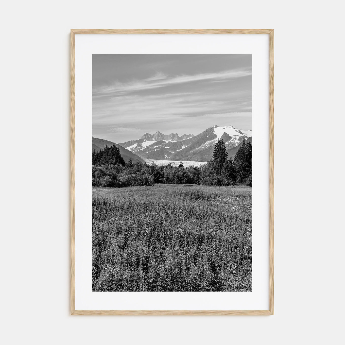 Juneau Photo B&W Poster