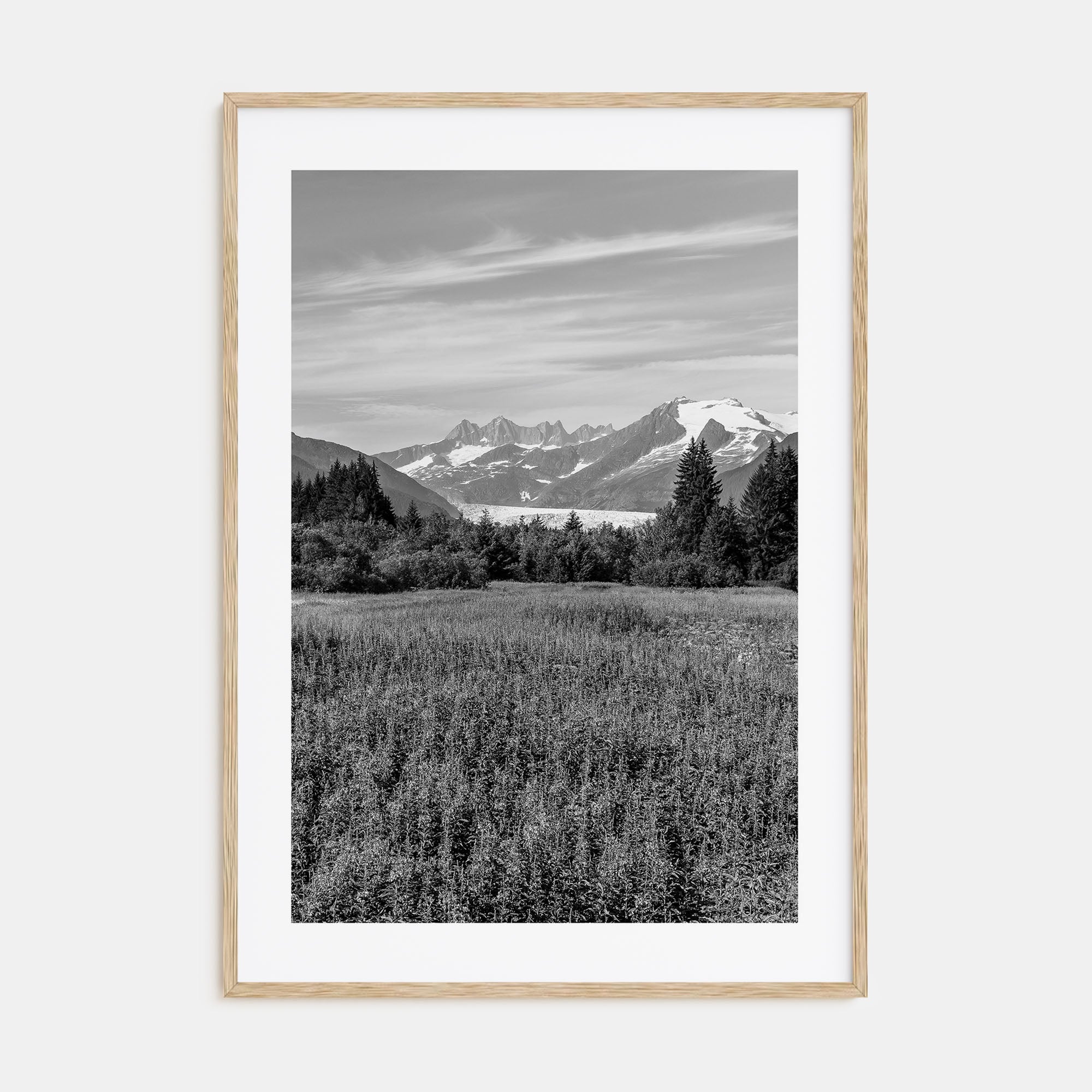 Juneau Photo B&W Poster