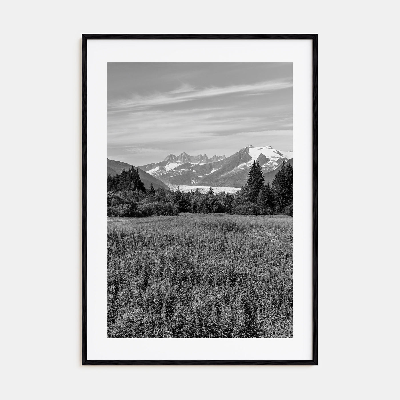 Juneau Photo B&W Poster