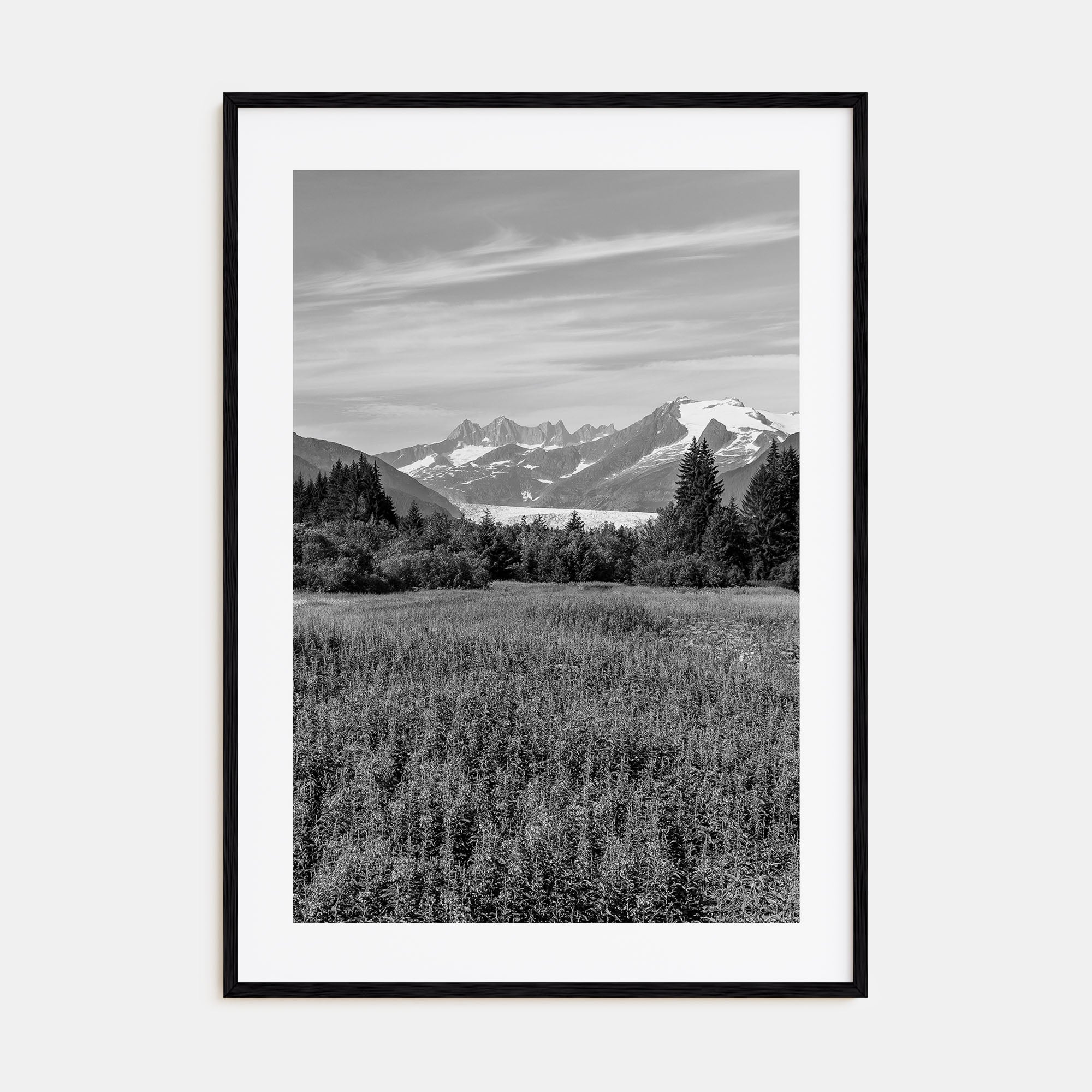 Juneau Photo B&W Poster