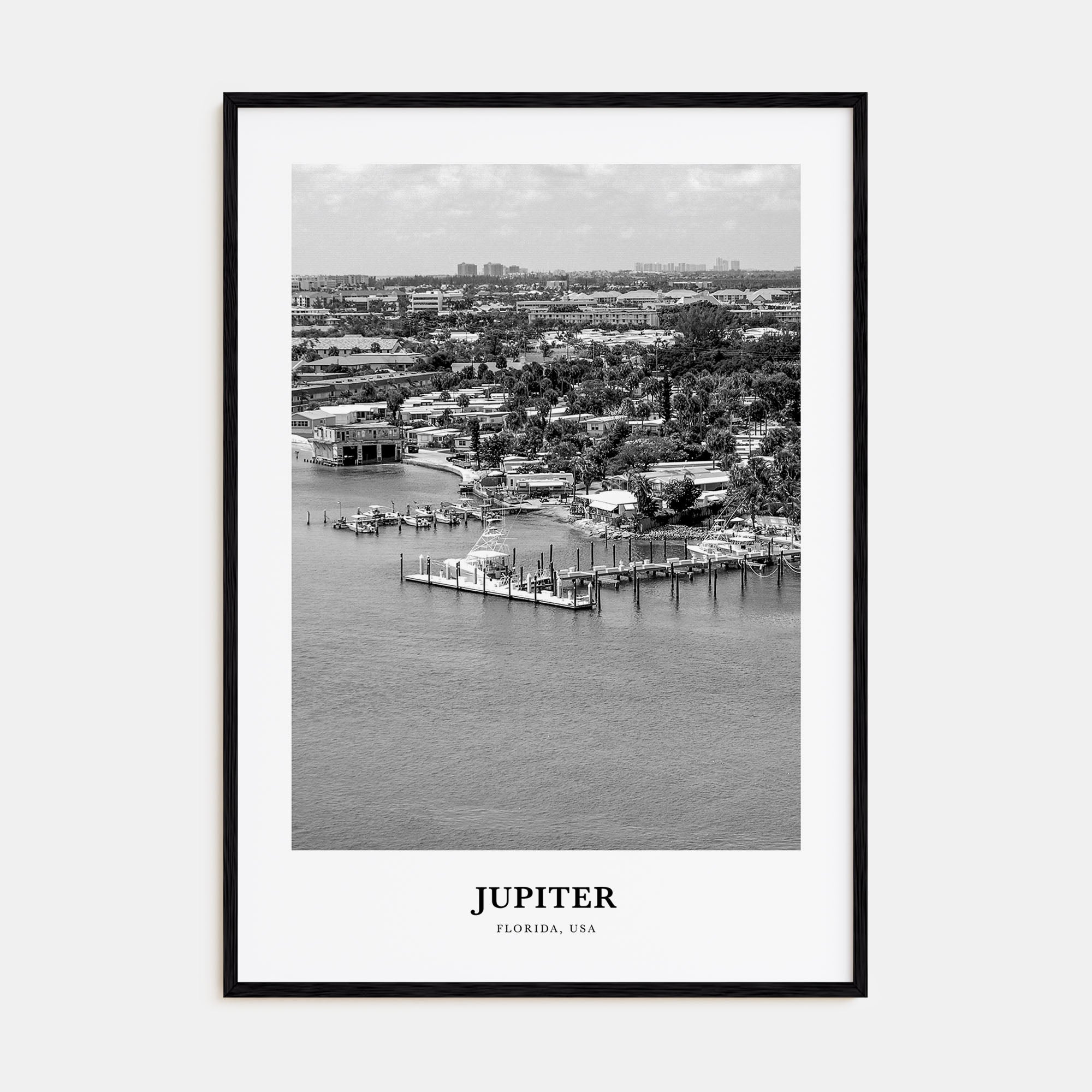 Jupiter Portrait B&W Poster