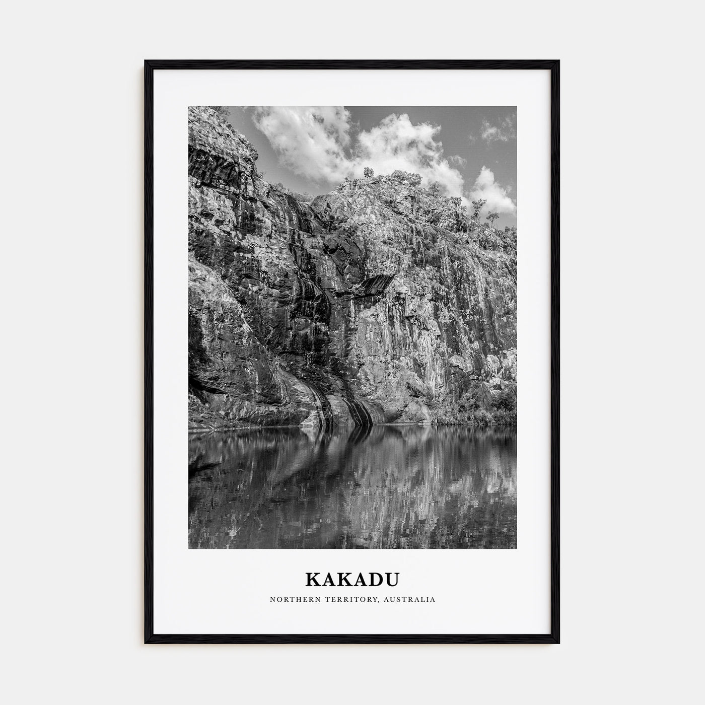 Kakadu Portrait B&W Poster