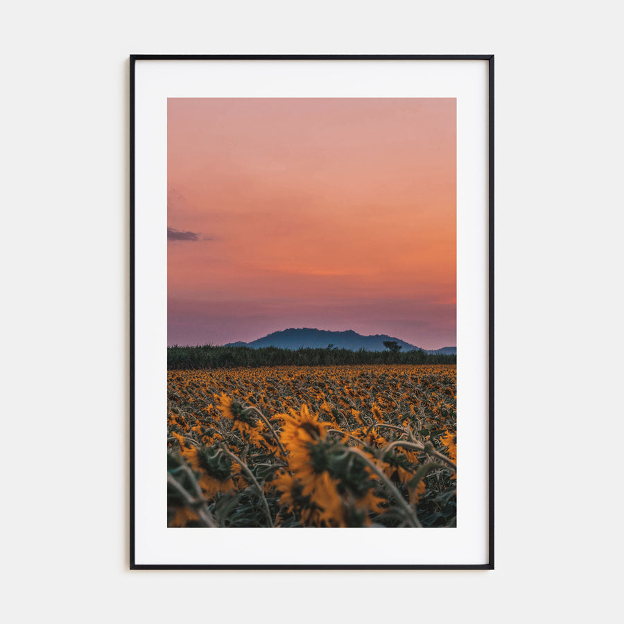 Kansas Photo Color No 1 Poster