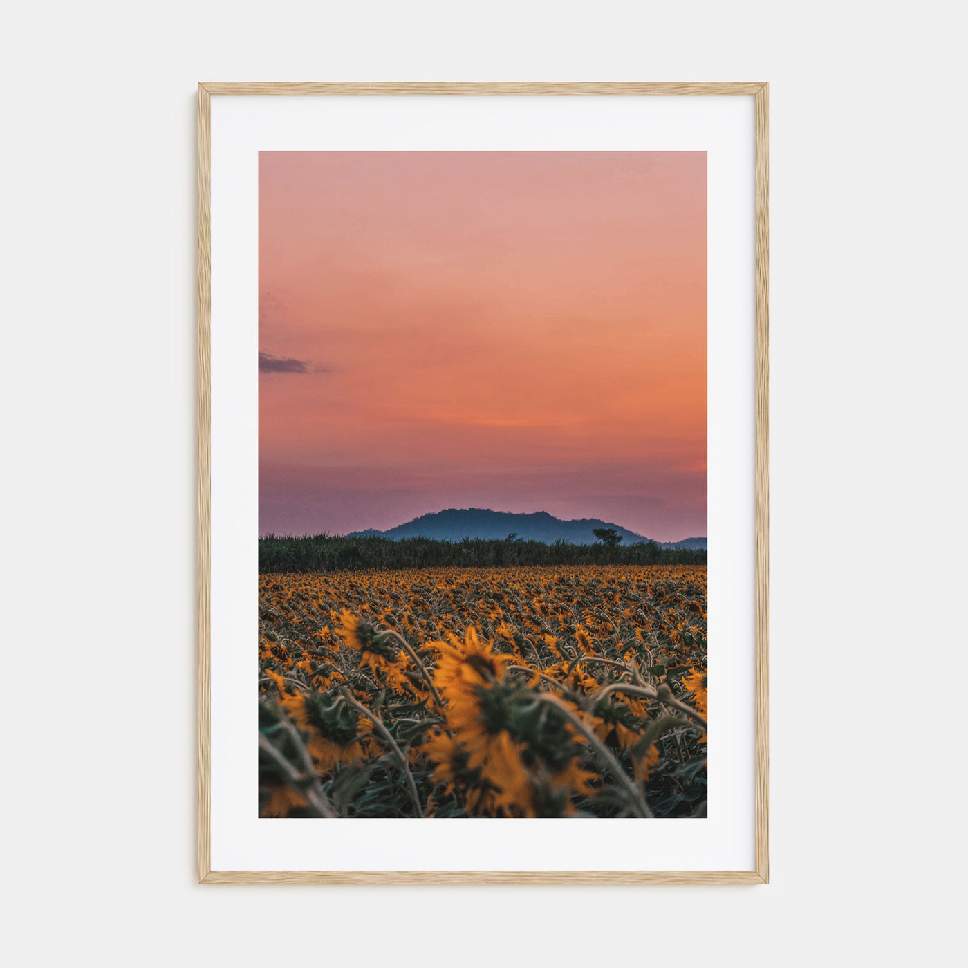 Kansas Photo Color No 1 Poster