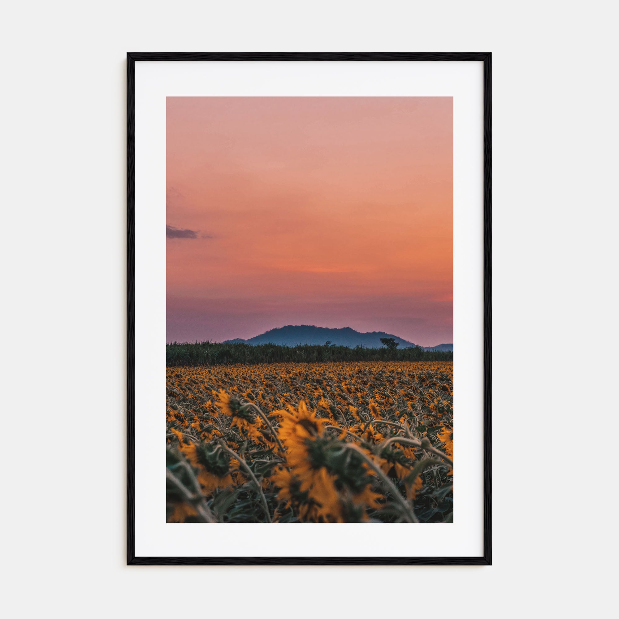 Kansas Photo Color No 1 Poster