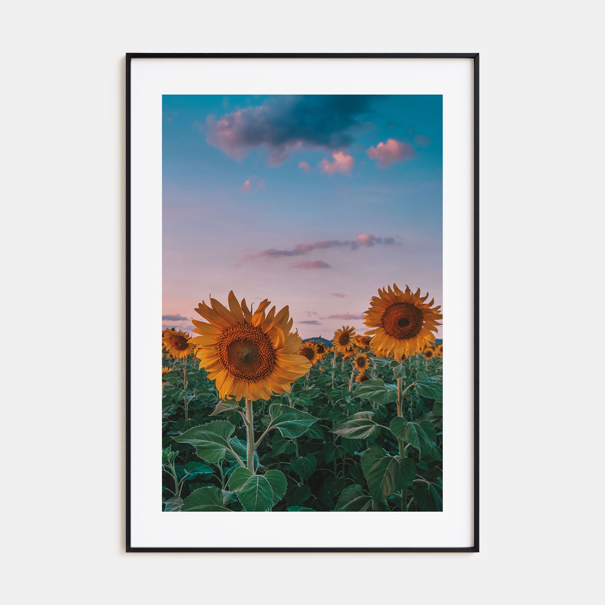 Kansas Photo Color No 2 Poster