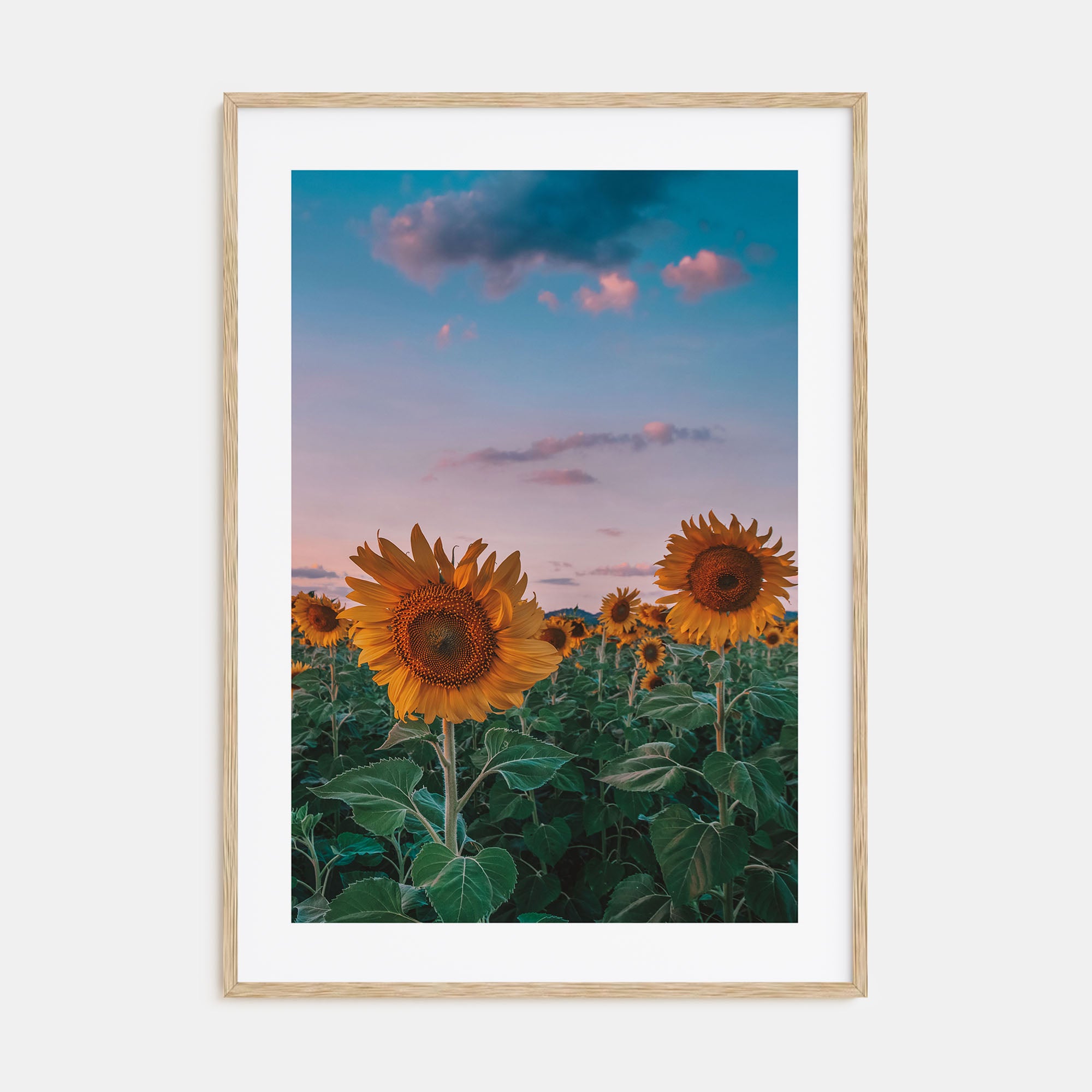 Kansas Photo Color No 2 Poster