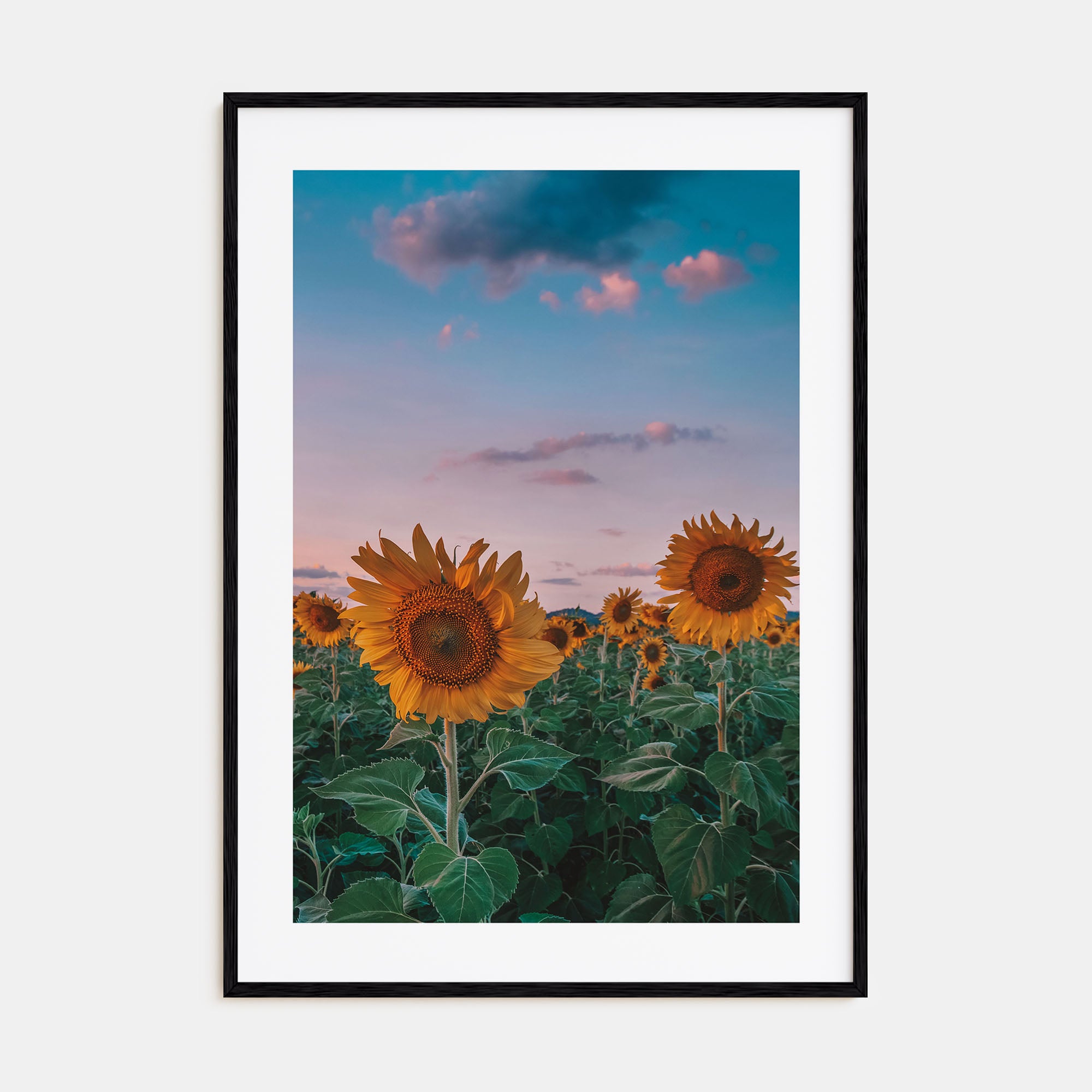 Kansas Photo Color No 2 Poster