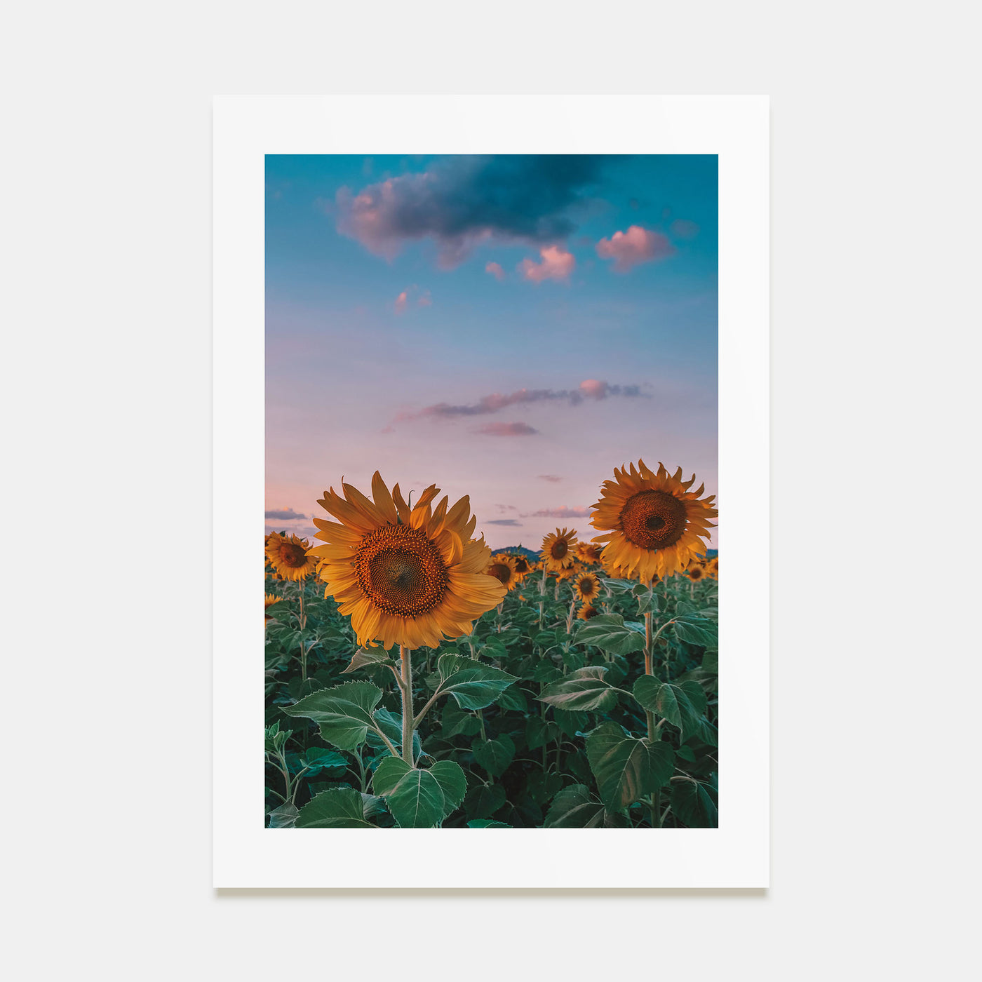 Kansas Photo Color No 2 Poster