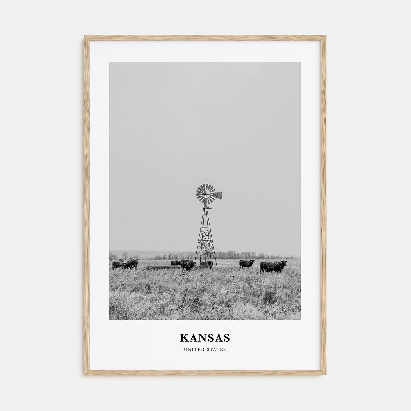 Kansas Portrait B&W Poster