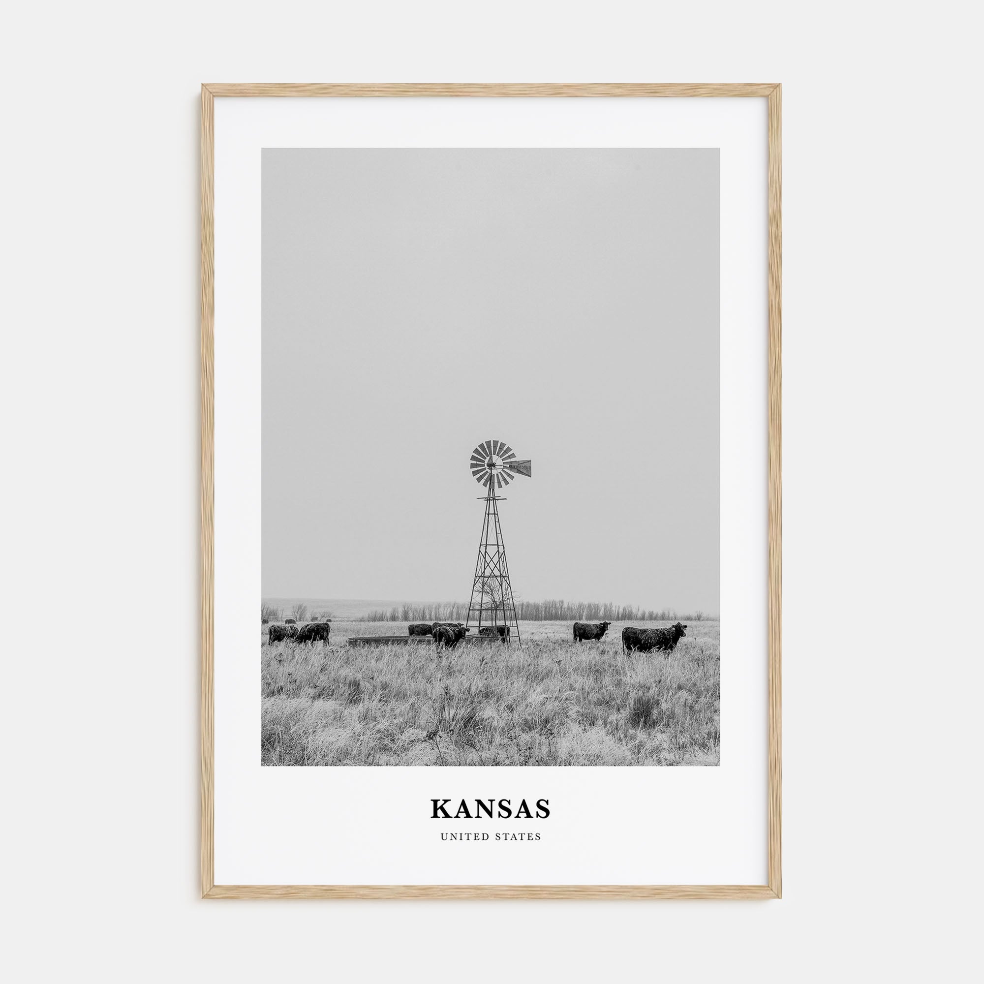 Kansas Portrait B&W Poster