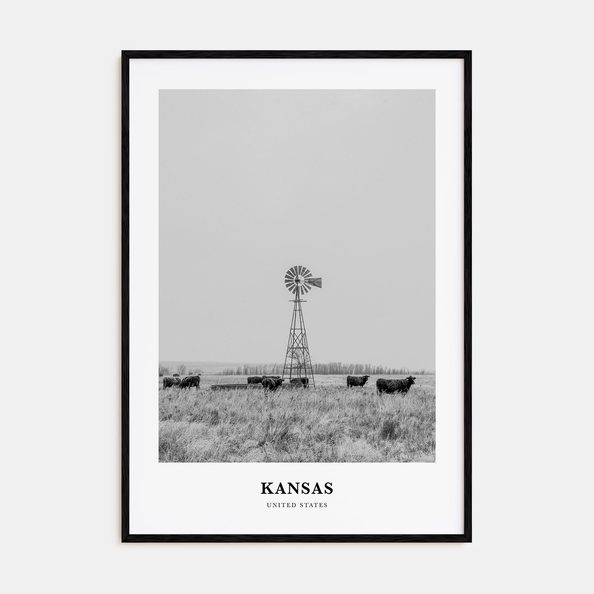 Kansas Portrait B&W Poster