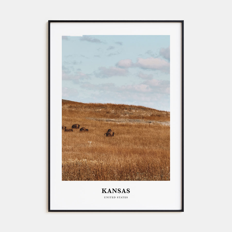 Kansas Portrait Color Poster