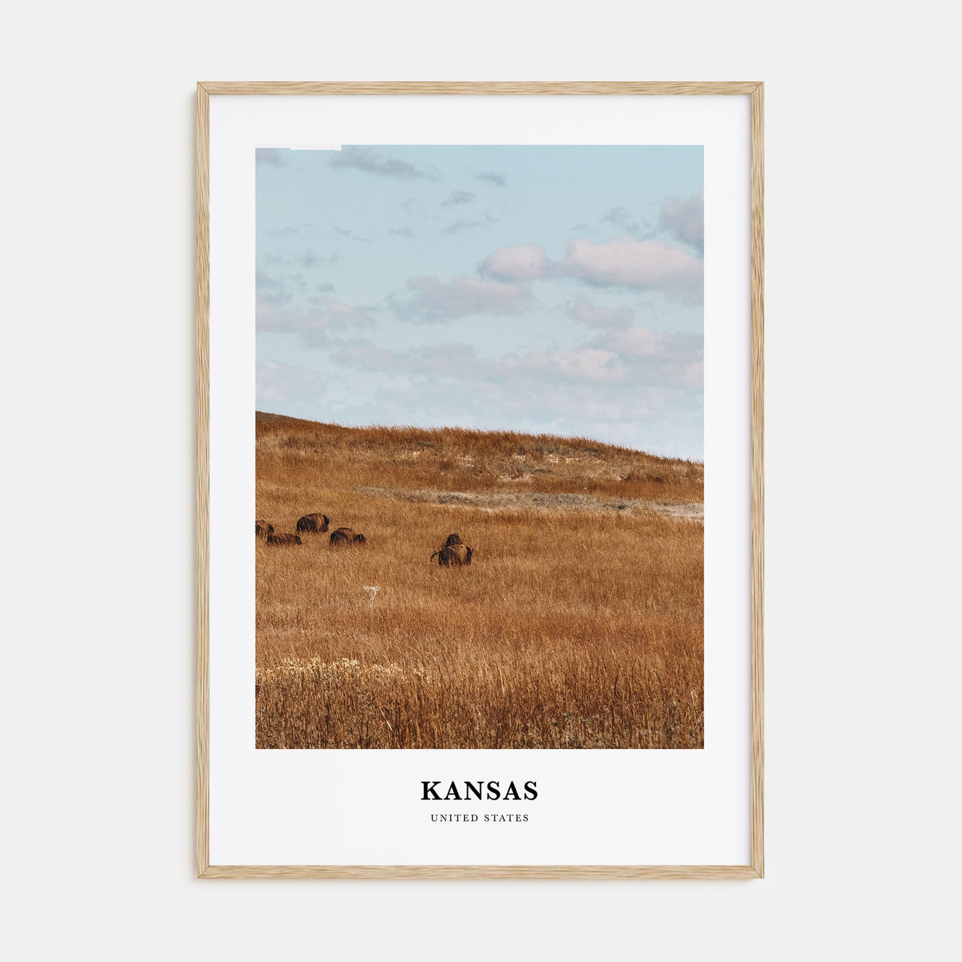 Kansas Portrait Color Poster