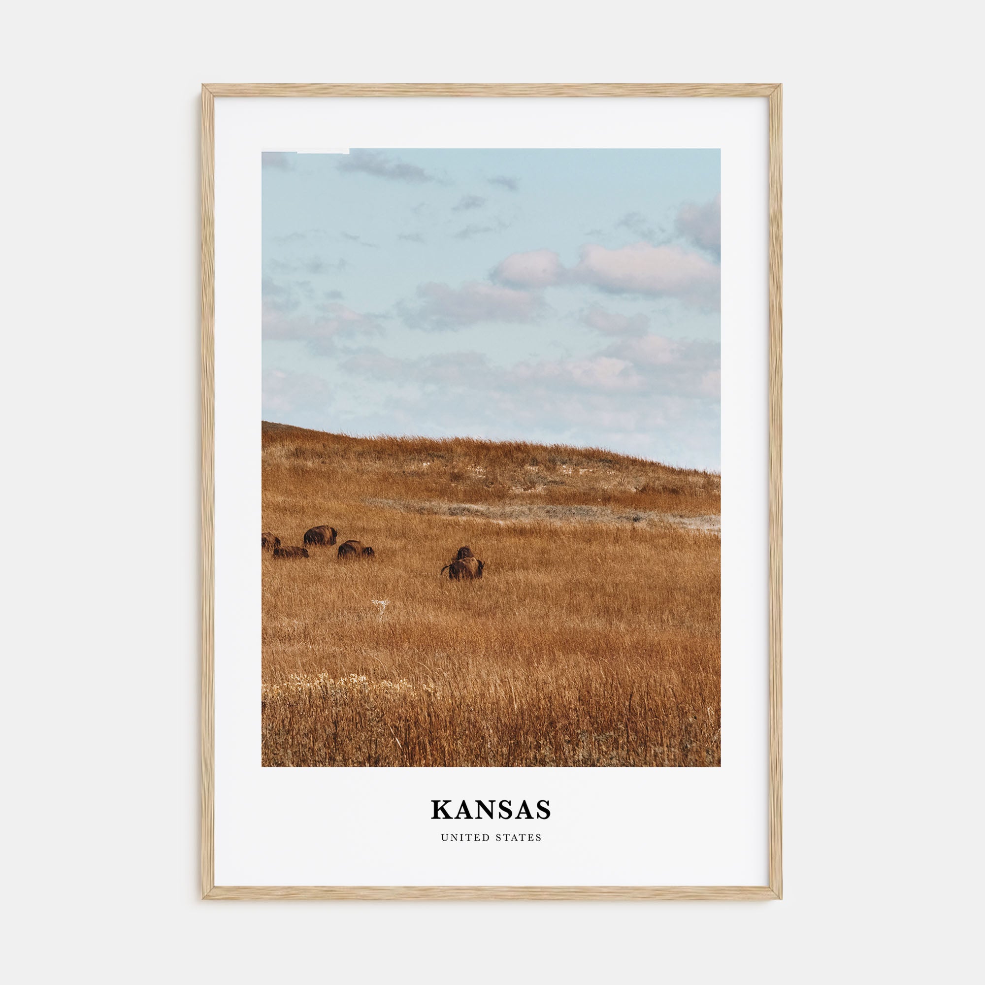 Kansas Portrait Color Poster