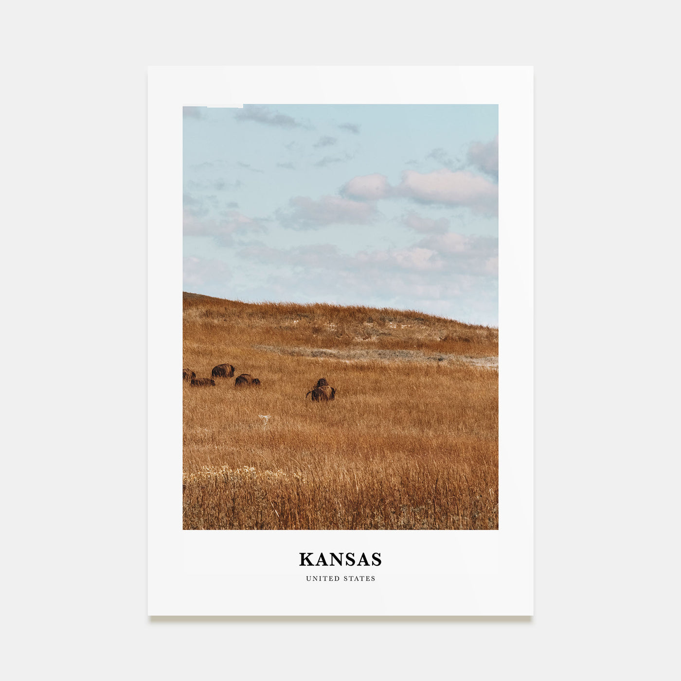Kansas Portrait Color Poster