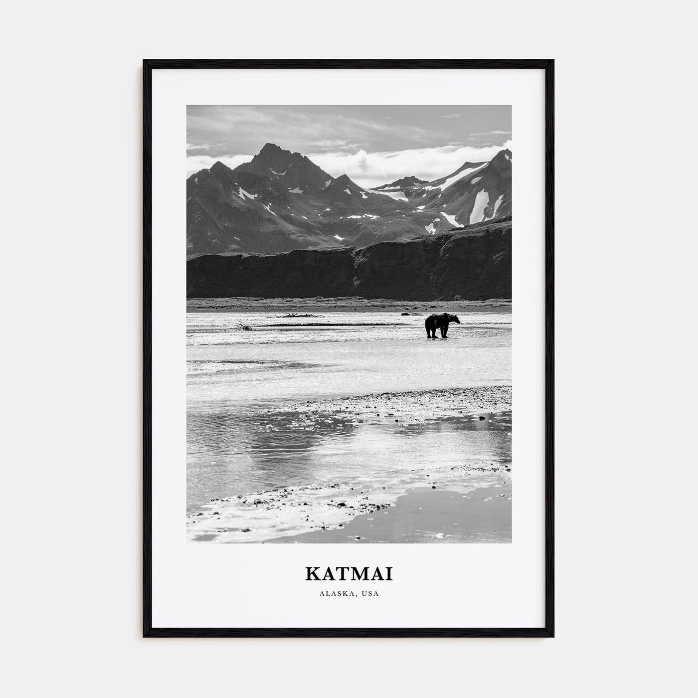 Katmai National Park Portrait B&W Poster