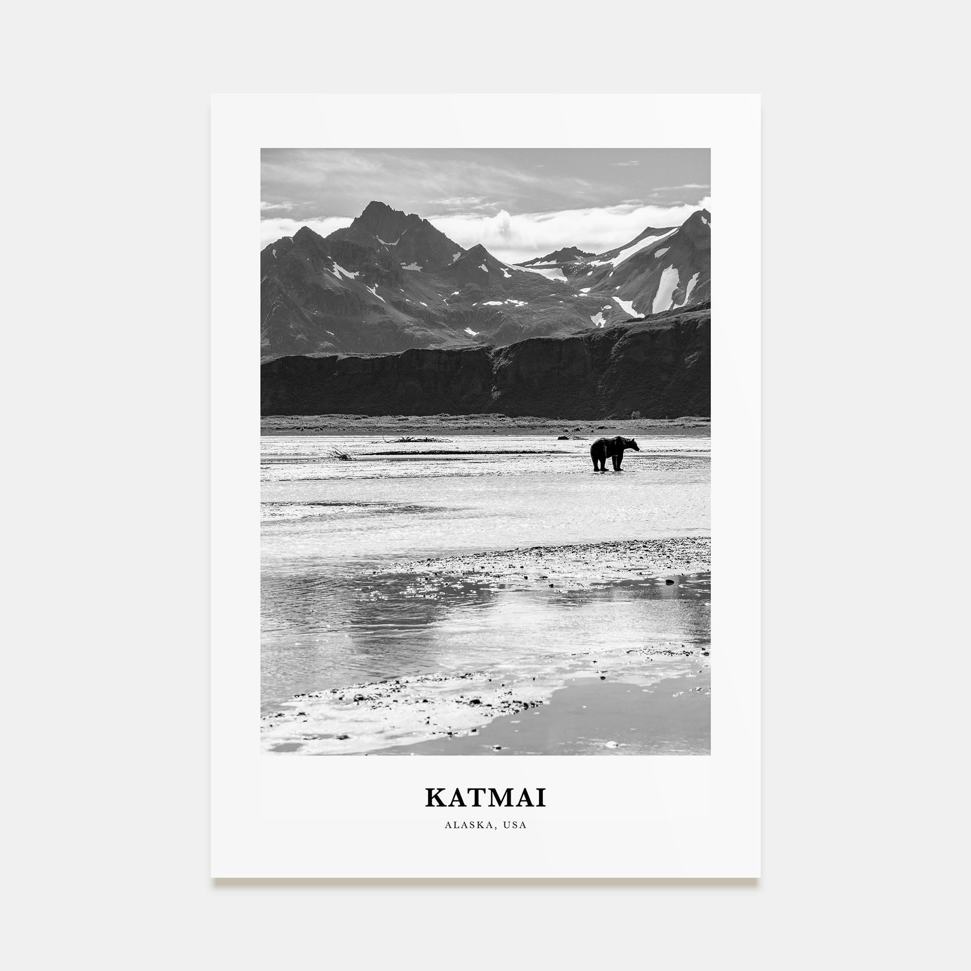 Katmai National Park Portrait B&W Poster