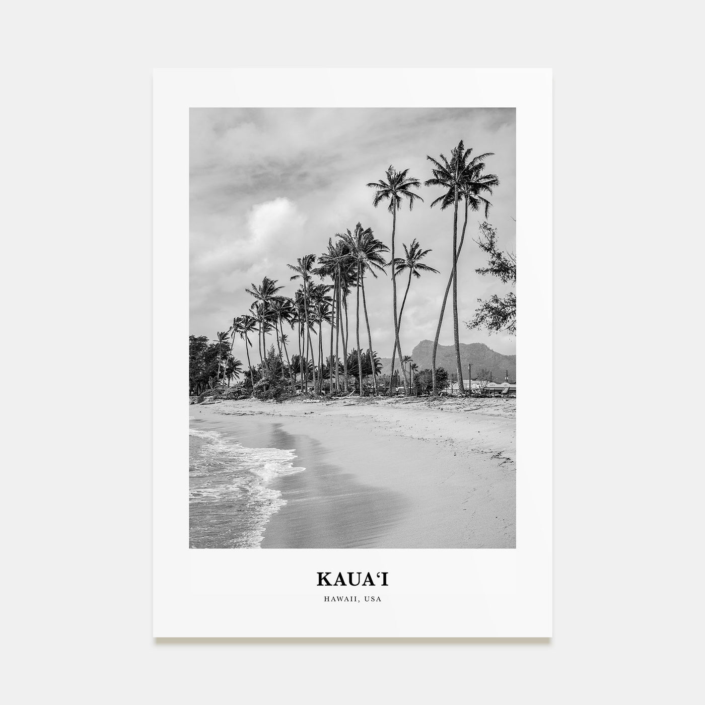 Kauai Portrait B&W No 1 Poster