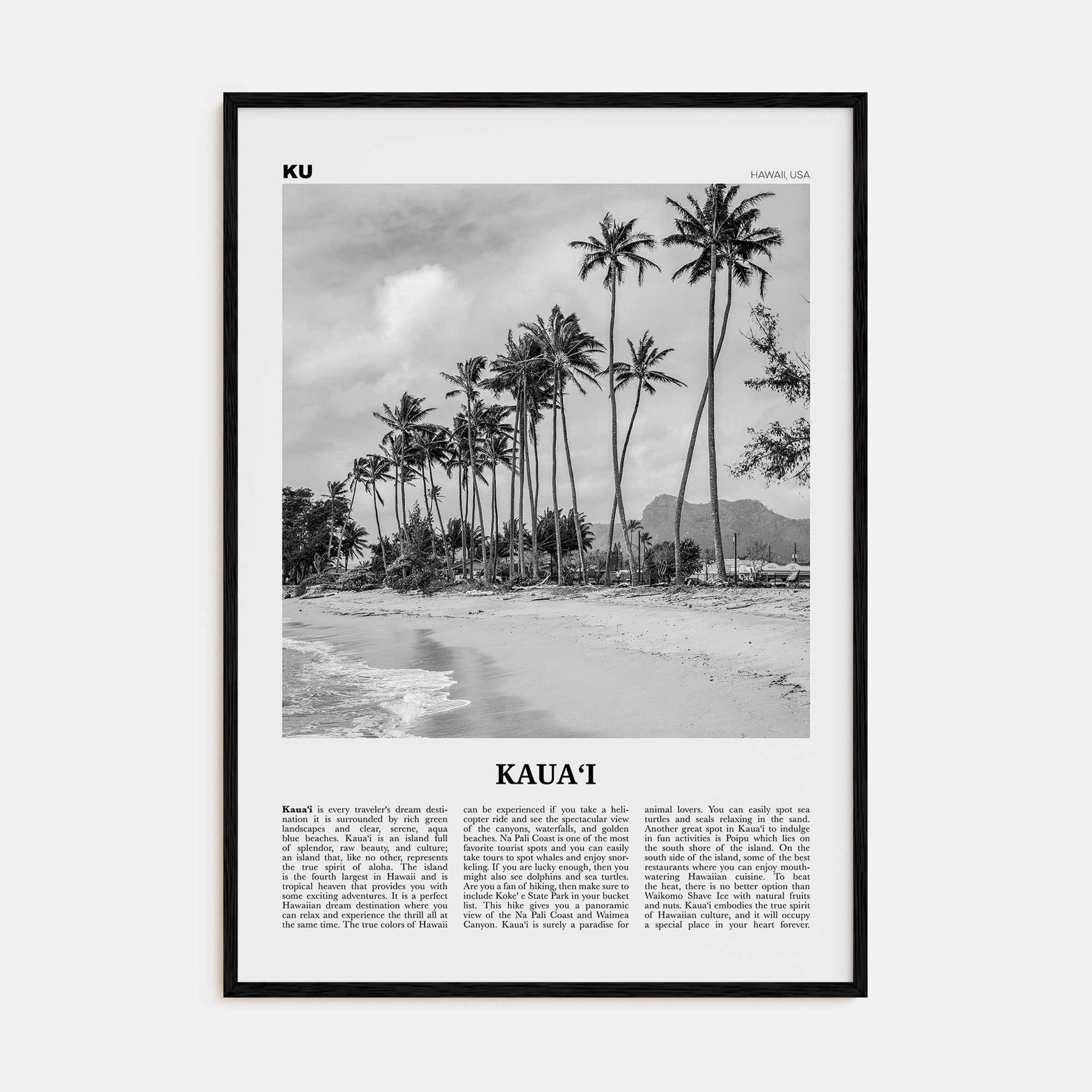Kauai Travel B&W No 2 Poster