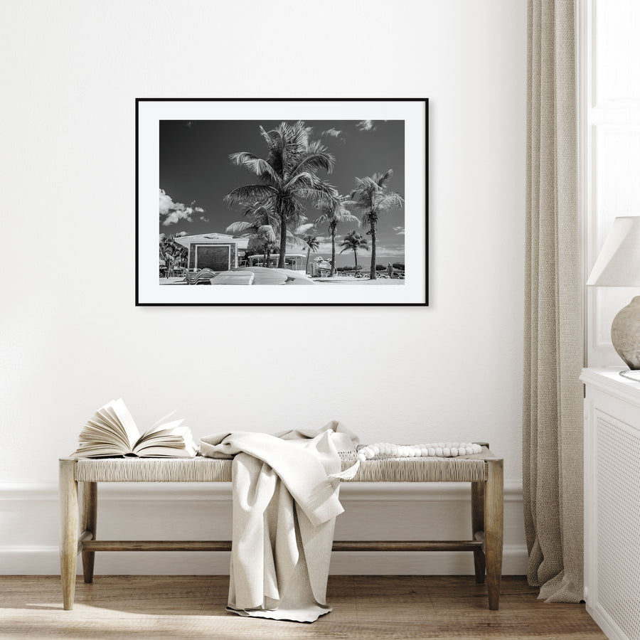 Key West Landscape B&W Poster