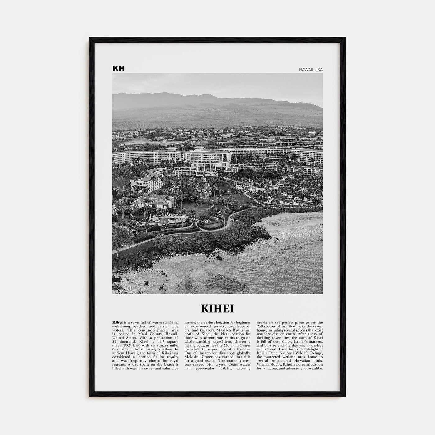 Kihei Travel B&W Poster