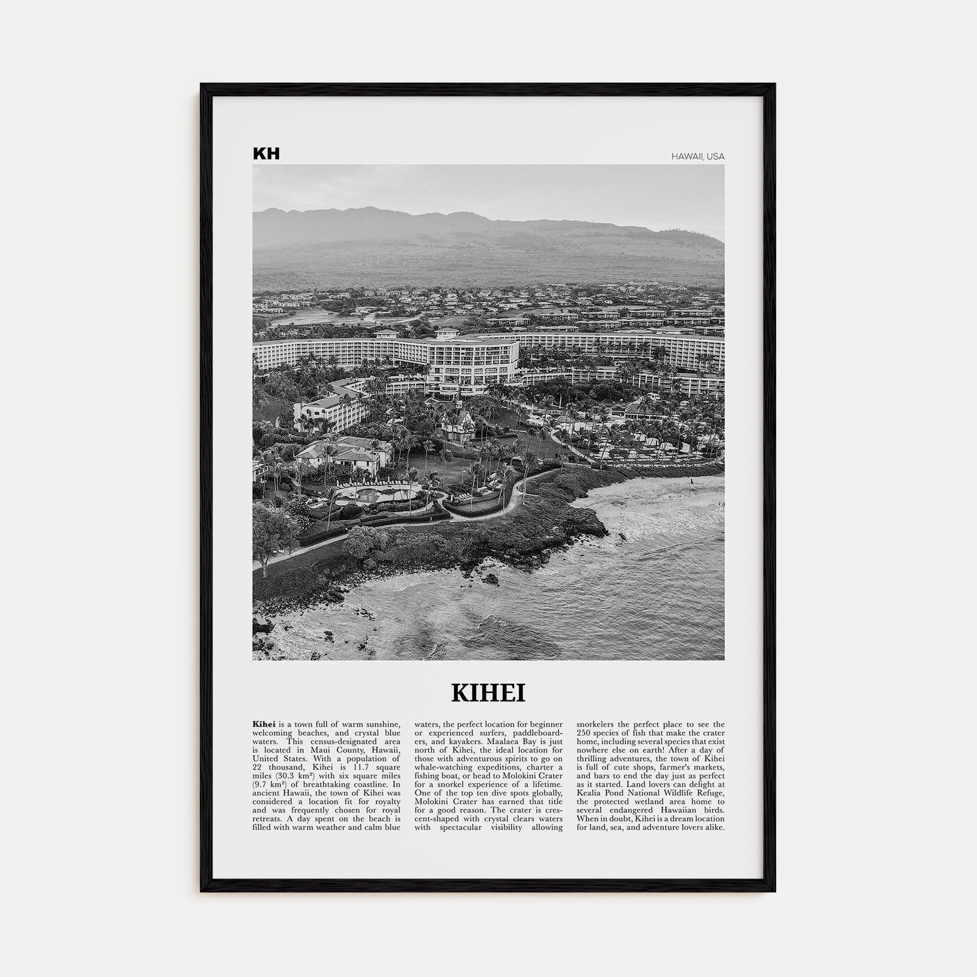Kihei Travel B&W Poster