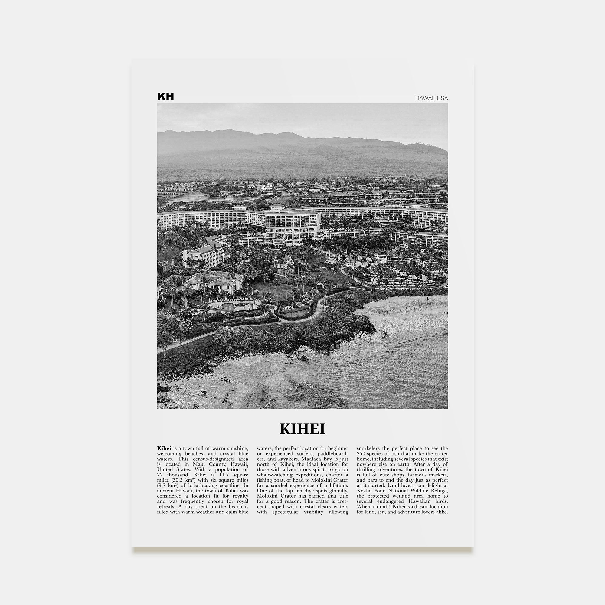Kihei Travel B&W Poster