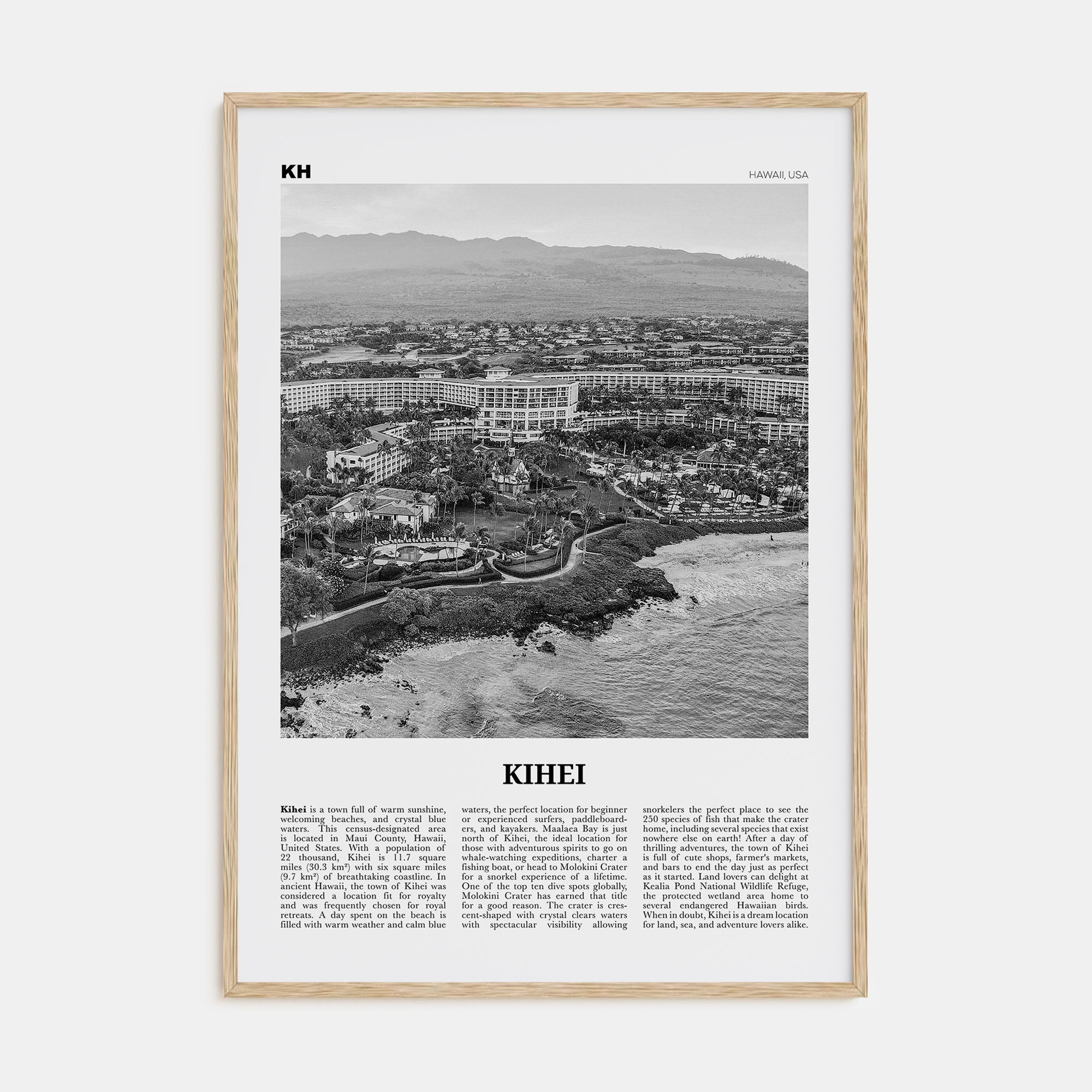 Kihei Travel B&W Poster