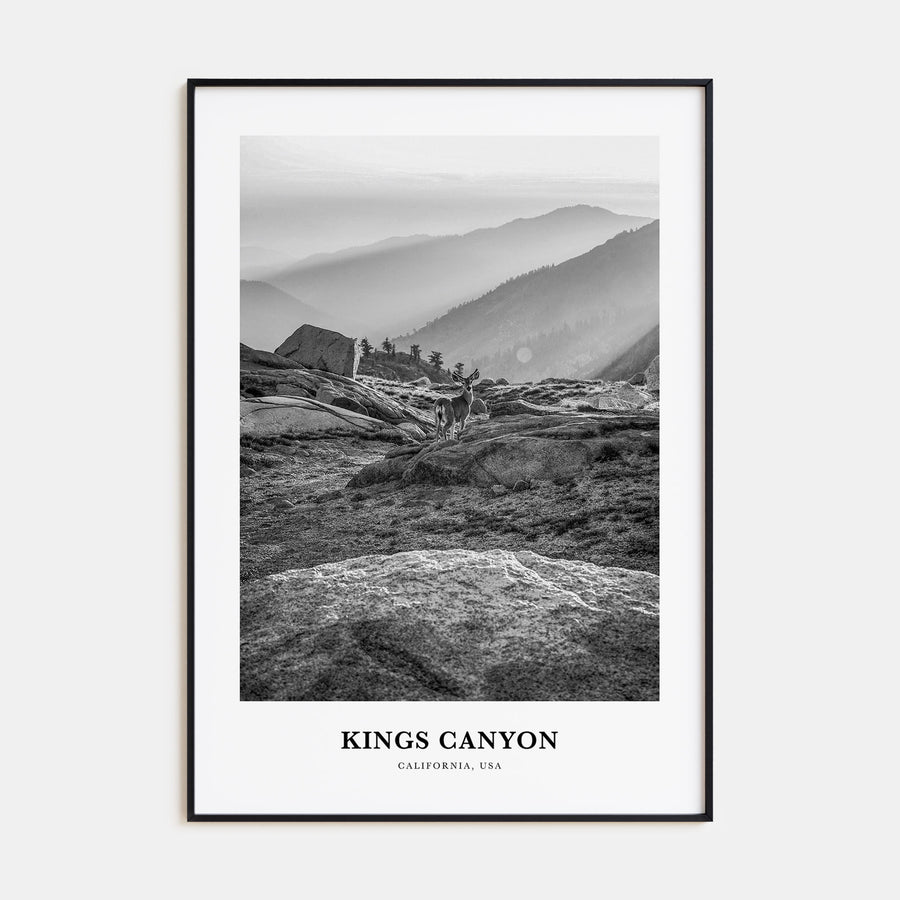 Kings Canyon National Park Portrait B&W Poster
