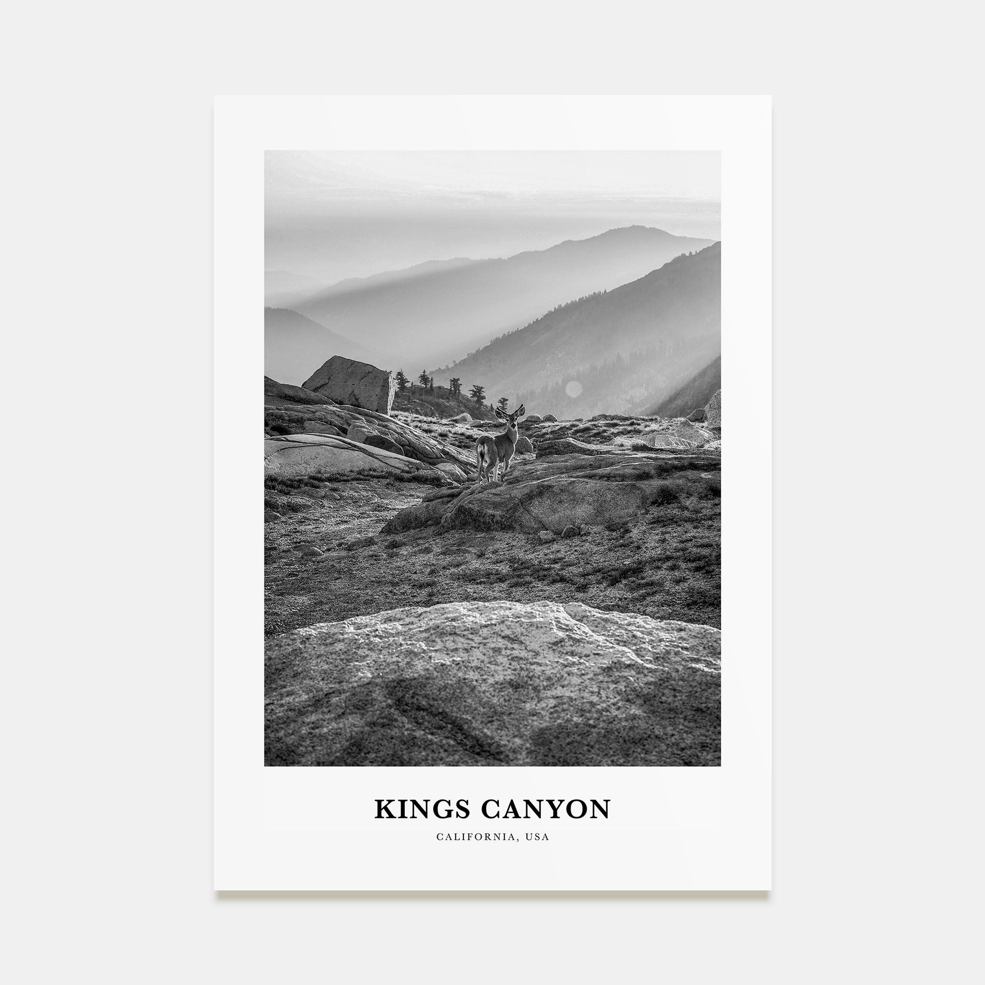 Kings Canyon National Park Portrait B&W Poster