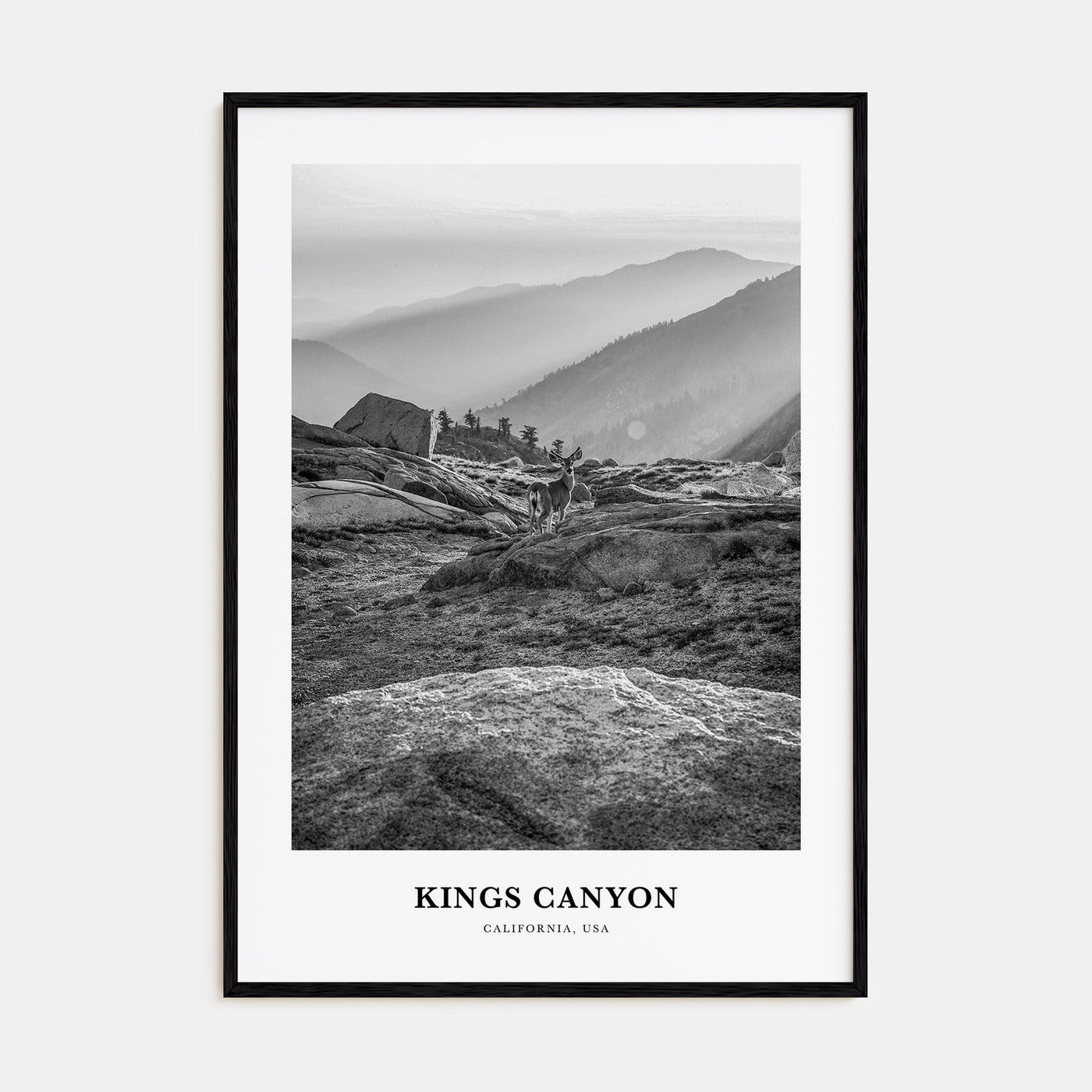 Kings Canyon National Park Portrait B&W Poster
