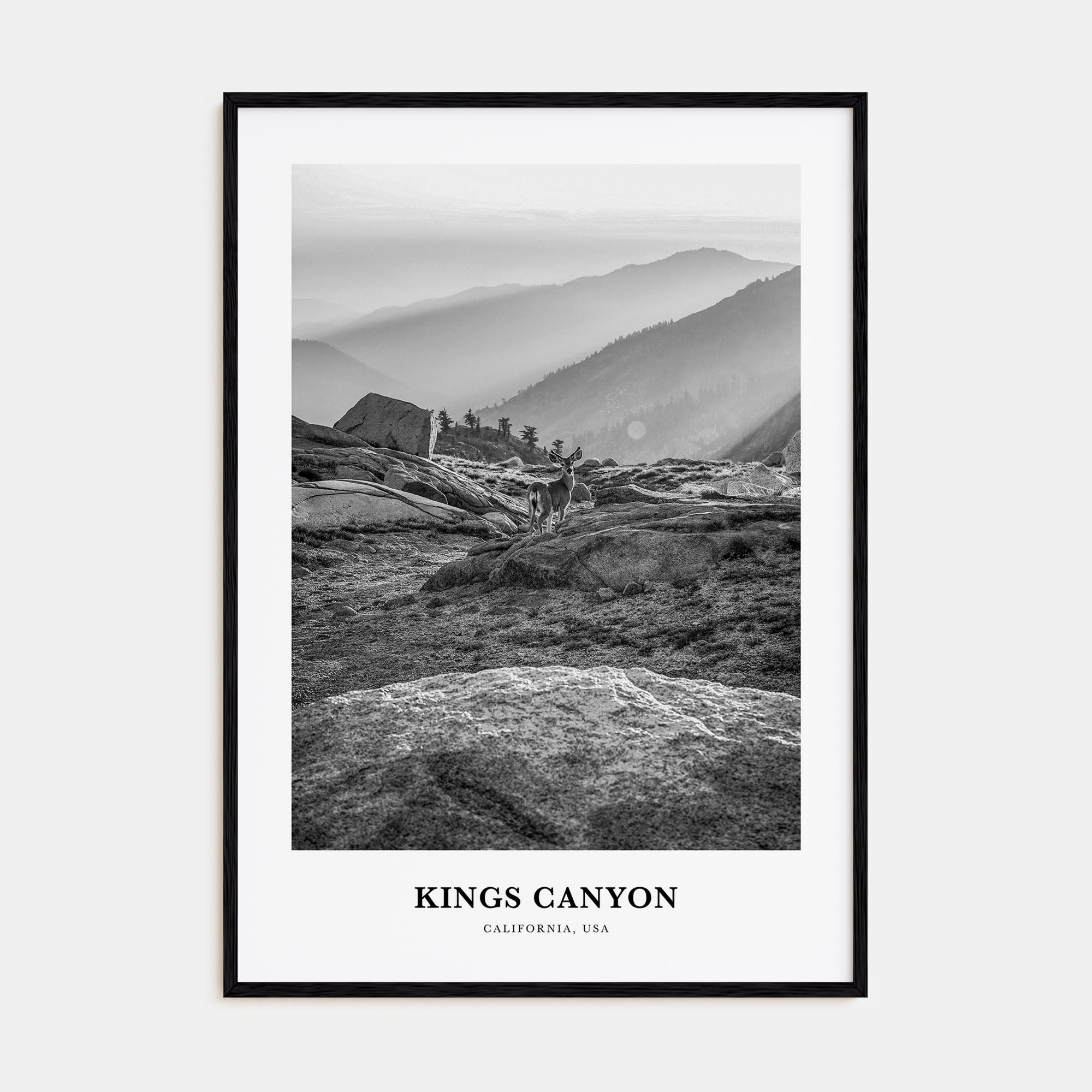 Kings Canyon National Park Portrait B&W Poster