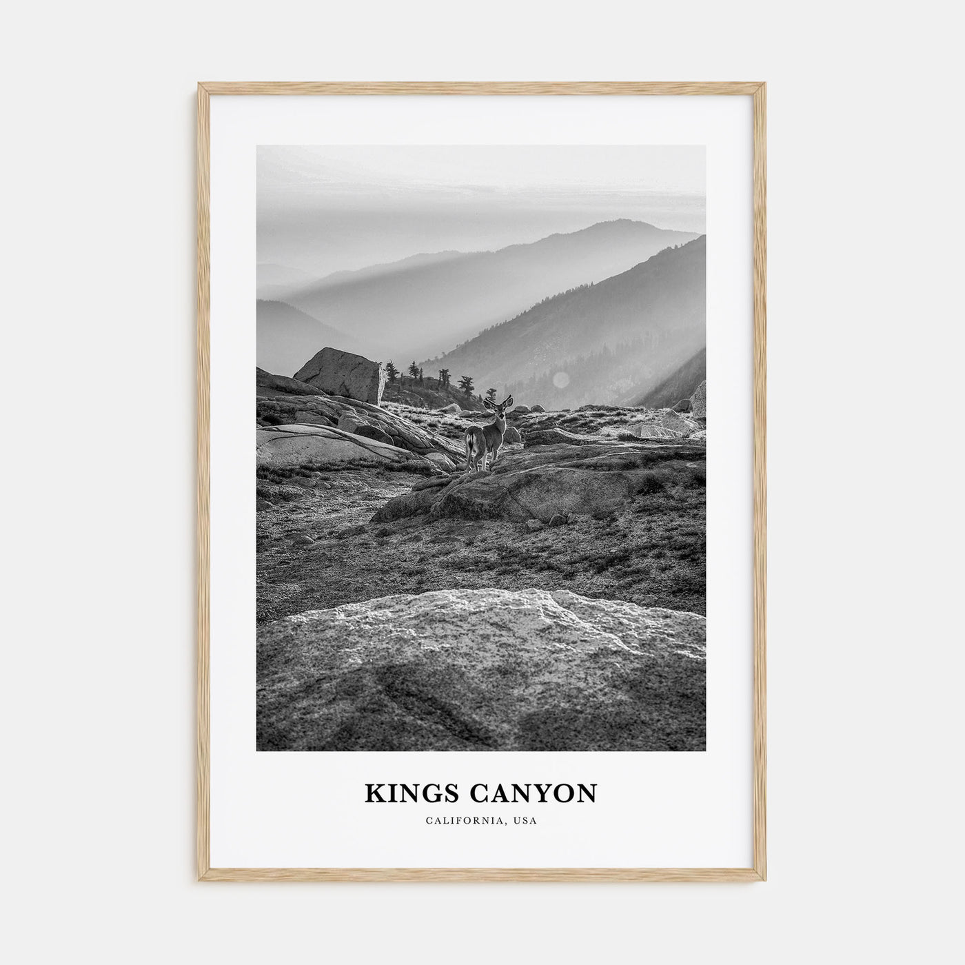 Kings Canyon National Park Portrait B&W Poster