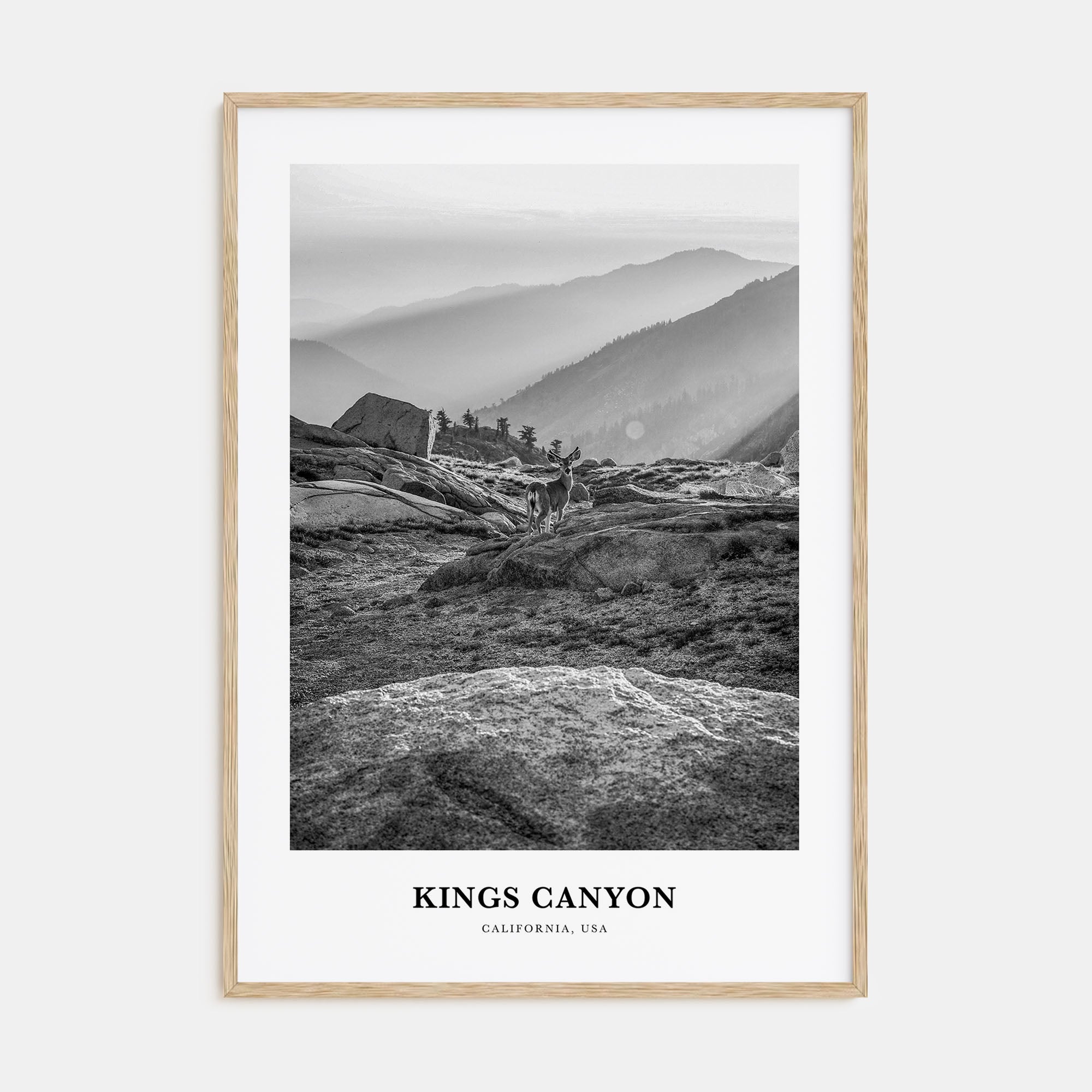 Kings Canyon National Park Portrait B&W Poster