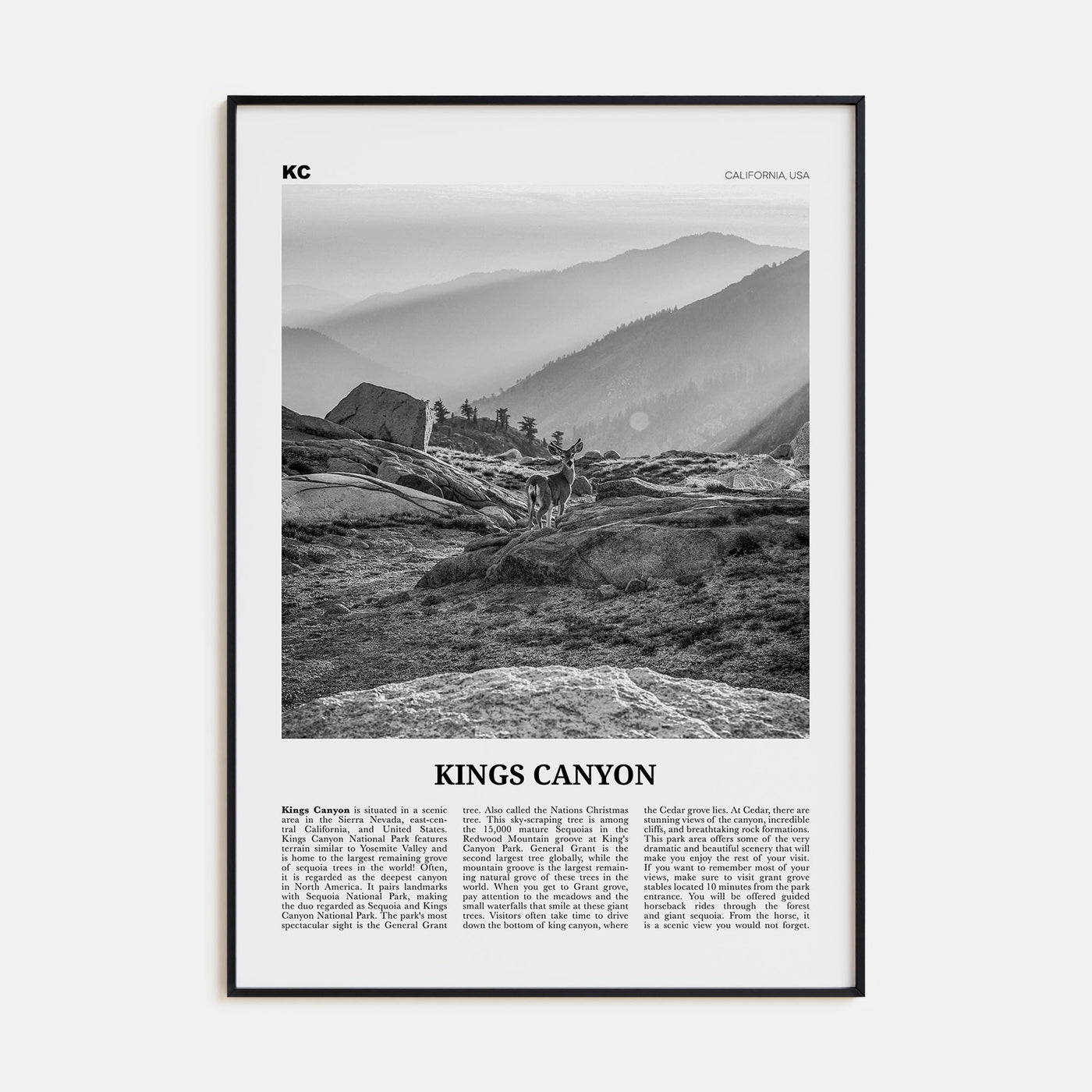 Kings Canyon National Park Travel B&W Poster