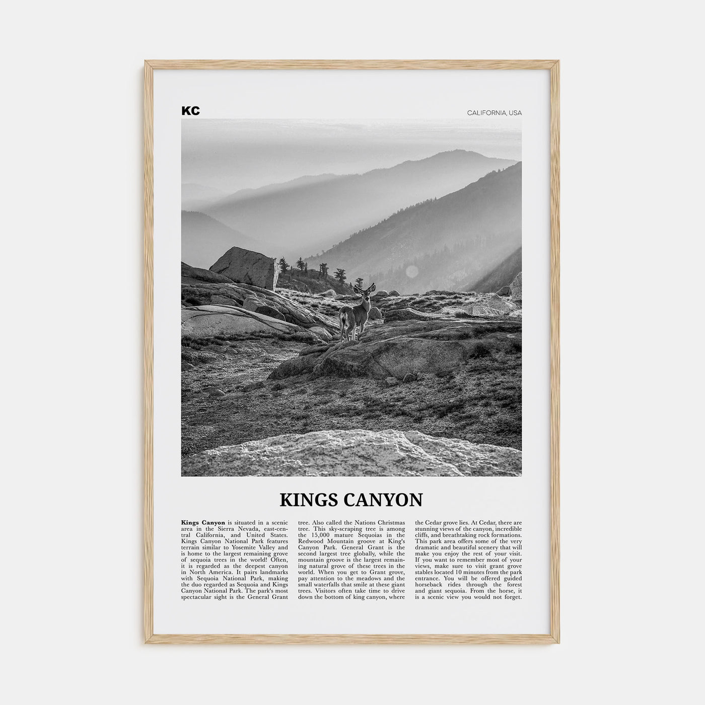 Kings Canyon National Park Travel B&W Poster