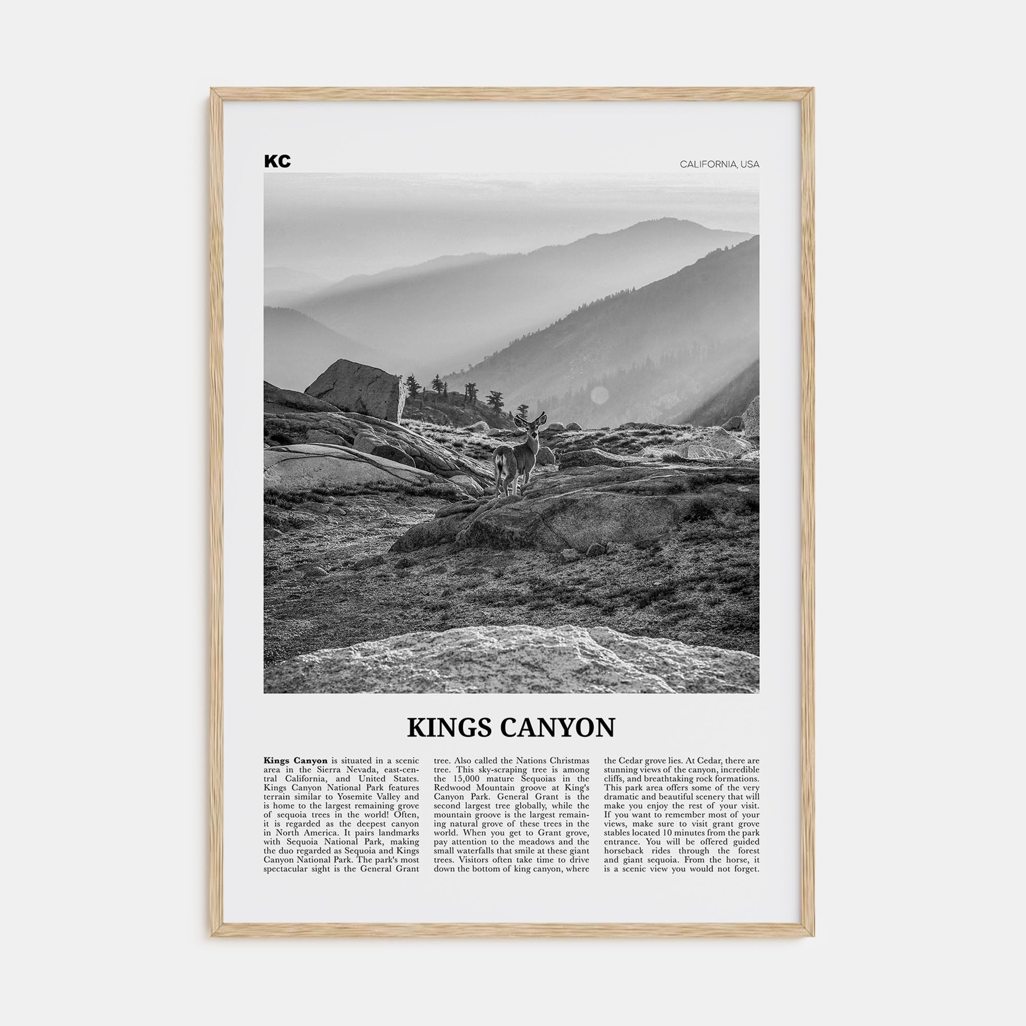 Kings Canyon National Park Travel B&W Poster