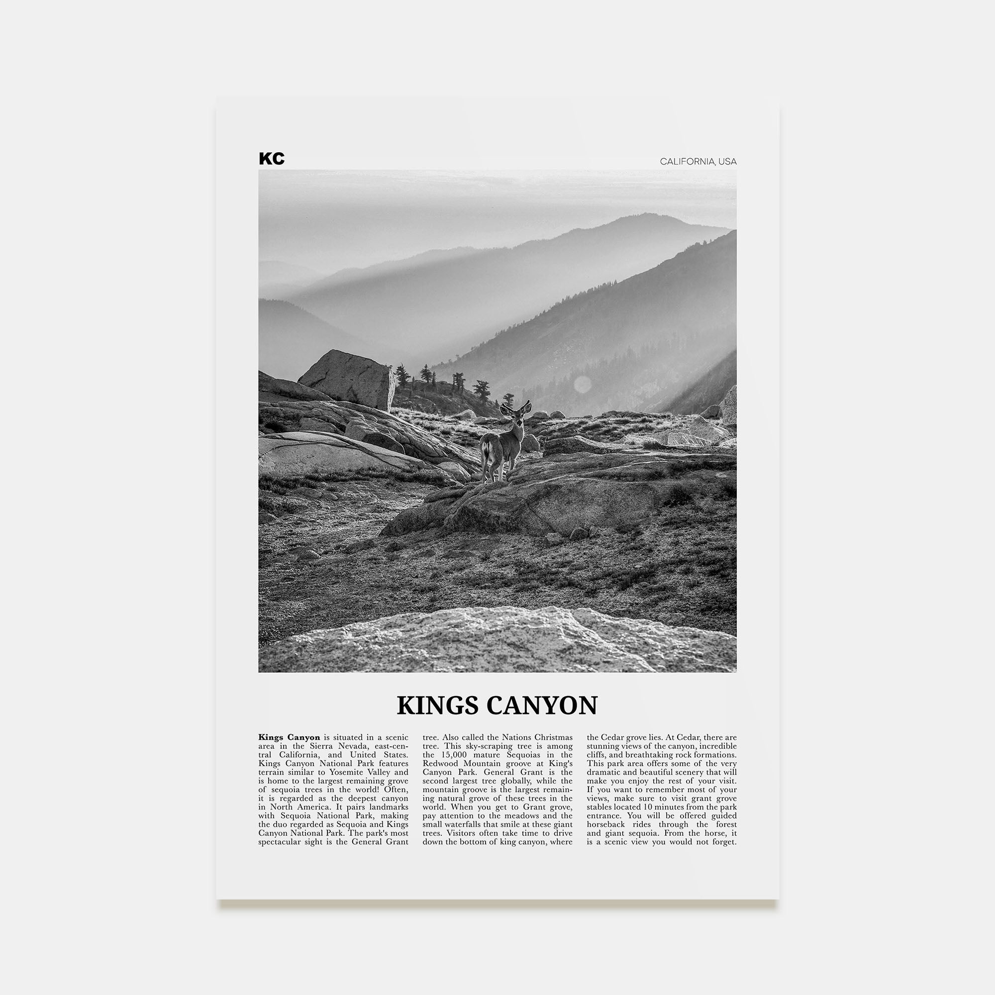Kings Canyon National Park Travel B&W Poster