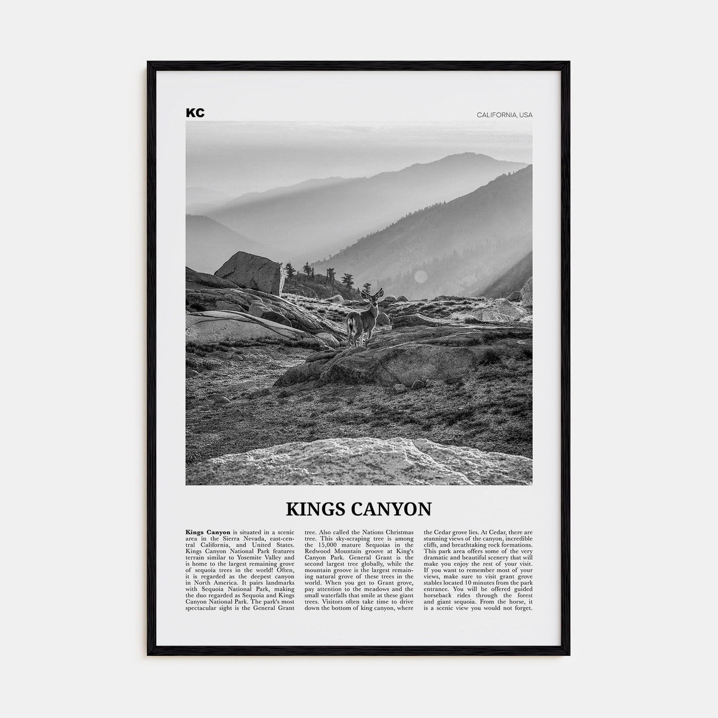 Kings Canyon National Park Travel B&W Poster