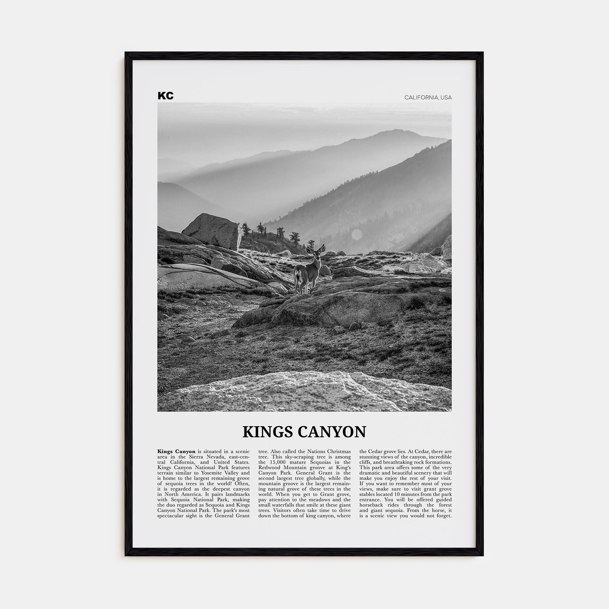 Kings Canyon National Park Travel B&W Poster