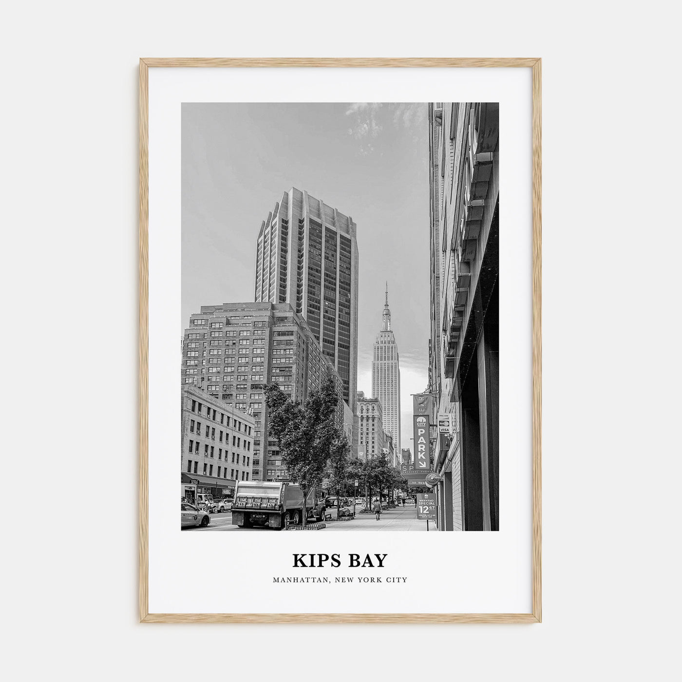 Kips Bay Portrait B&W Poster